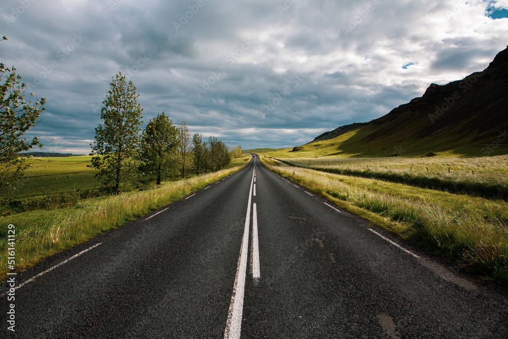 Fototapeta premium Very picturesque empty road in iceland in summer. Asphalt road as a symbol of freedom and travel.