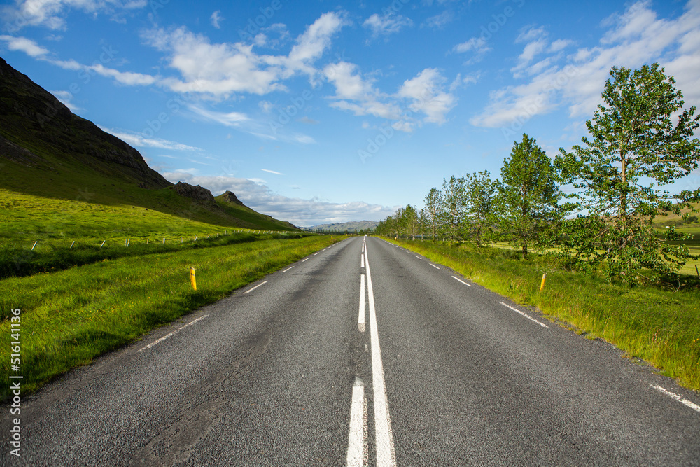 Fototapeta premium Very picturesque empty road in iceland in summer. Asphalt road as a symbol of freedom and travel.