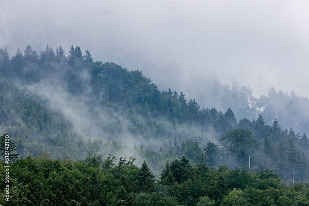 graue Wolken mit Nebelschwaden über Waldhang aus Fichten