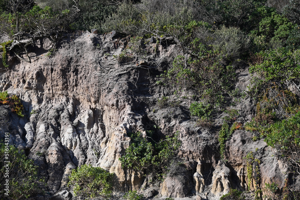 Dark cliff face, bathed in sunlight and covered by patches of vegetation