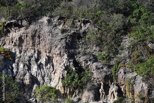 Dark cliff face  bathed in sunlight and covered by patches of vegetation
