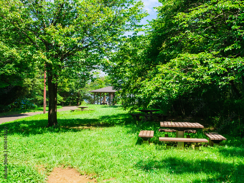 緑に包まれた公園