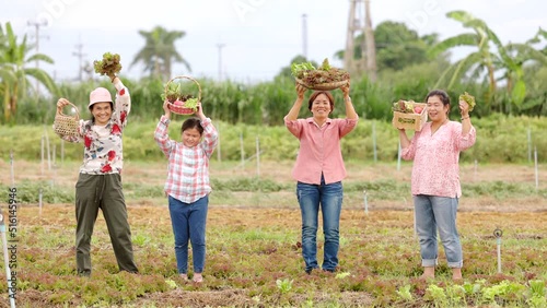 Friendly asian team farmer dancing and holding box, basket with fresh vegetables in her hands after working at vegetable plot with happiness. Fun during harves period
 photo