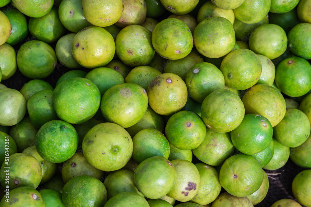fresh organic lemons from farm close up from different angle fresh organic lemons from farm close up from different angle