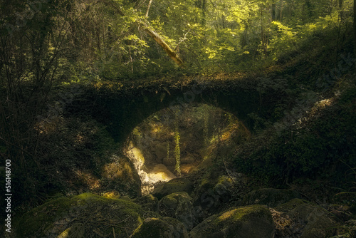 Fairy Tale Deep Forest with an Enchanting Stone Bridge