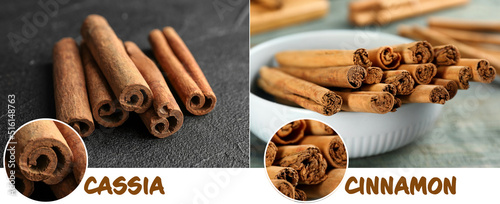 Fotografija Collage with photos of cassia and ceylon cinnamon sticks