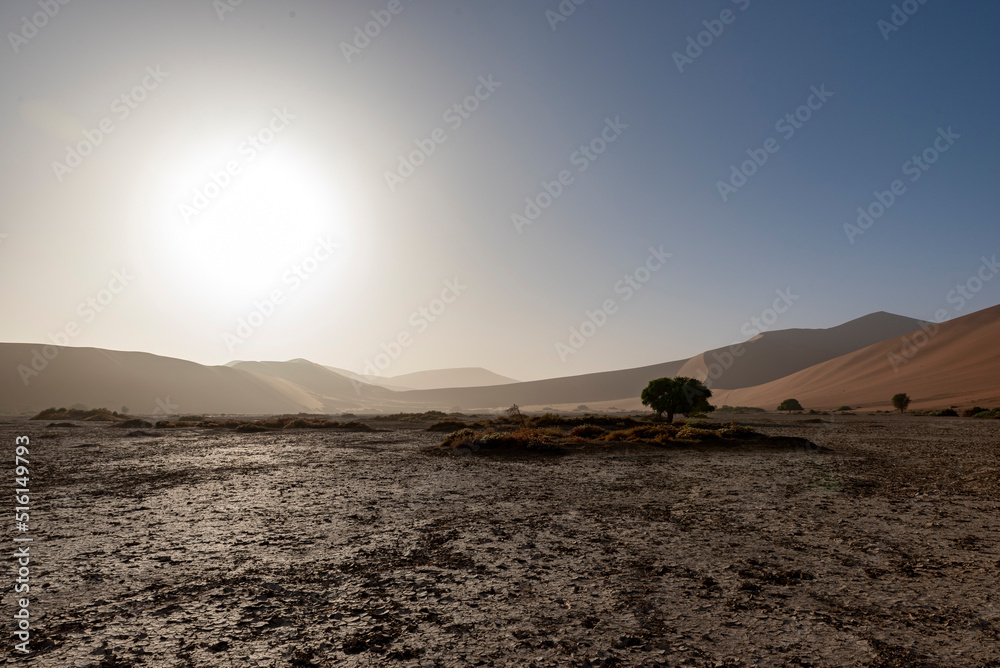 Foggy sunrise over the sand dune in Sossuvlei, Namib desert, Namib-Naukluft National Park, Namibia