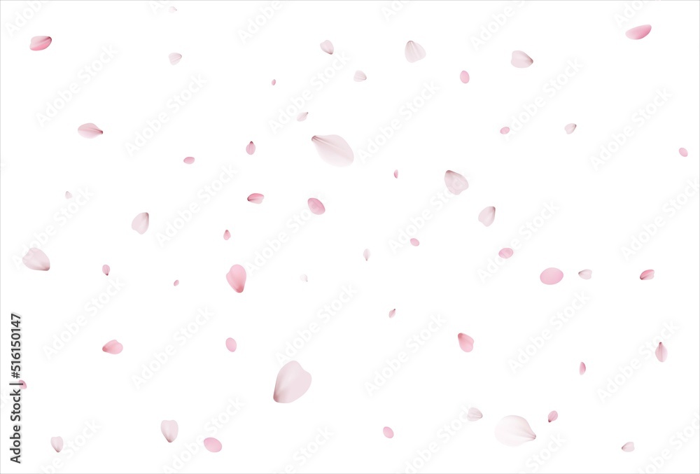 Sakura petals background. Cherry petals backdrop