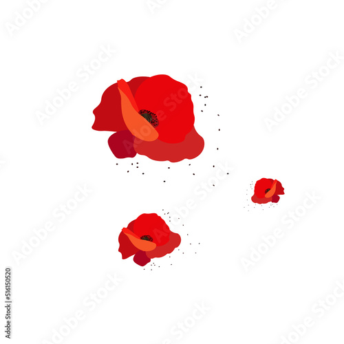 Poppy