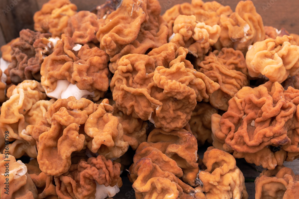 A closeup shot of giants false morels in a box against a grass by spring day A closeup shot of giants false morels in a box against a grass by spring day