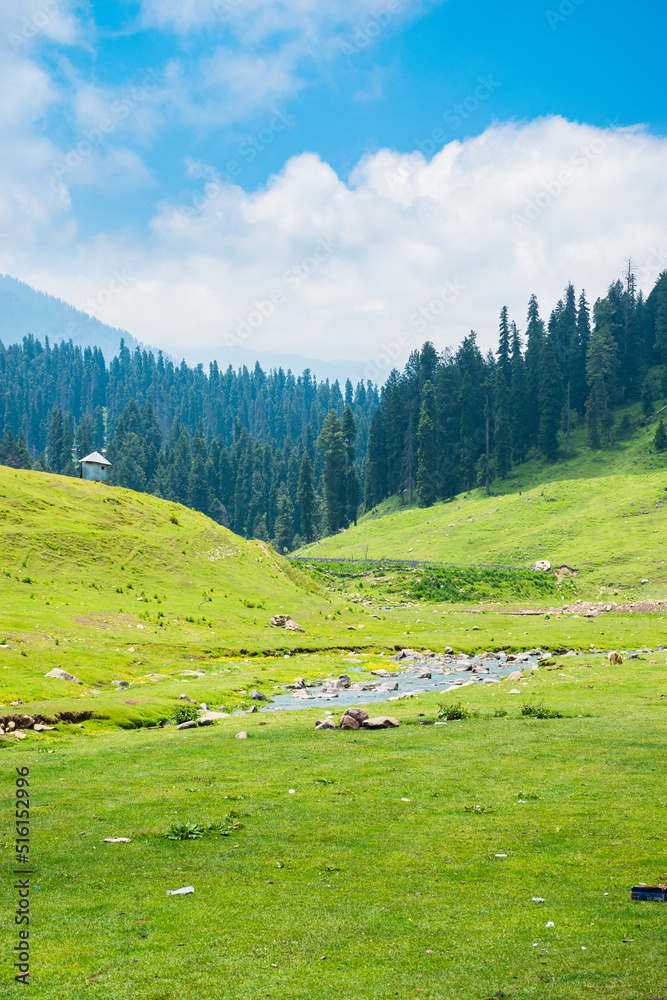 Gulmarg, Baisaran Valley( Mini Switzerland) Pahalgam, Jammu and Kashmir, India.