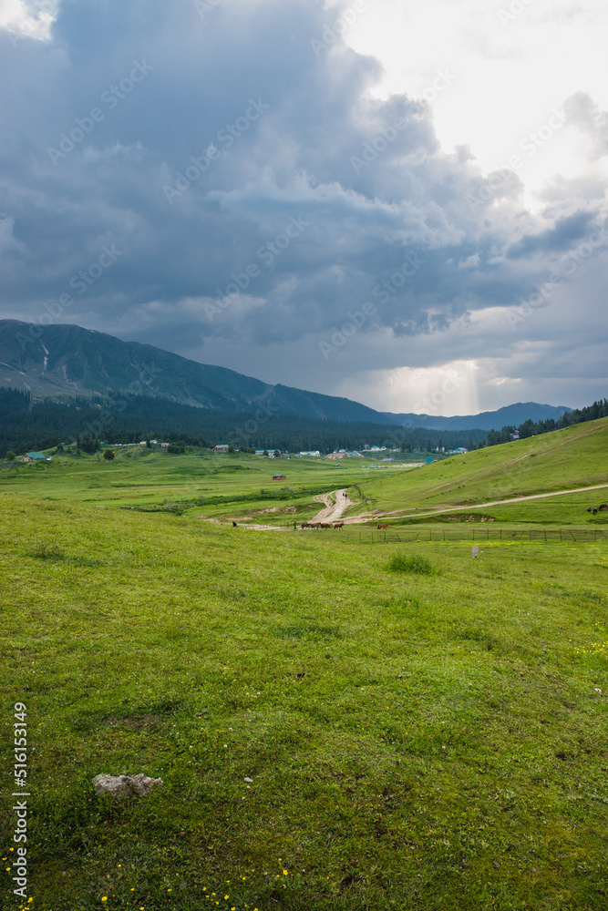 Greenery surrounded by mountains in Gulmarg, Jammu & Kashmir, India.