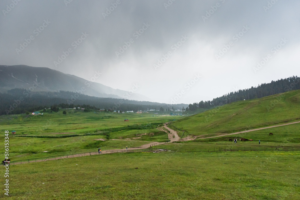 This photo depicts the peace and heavenly beauty that prevails in the valley of Kashmir which has been engulfed by the terrorism. Gulmarg, Baramulla, Jammu and Kashmir India.