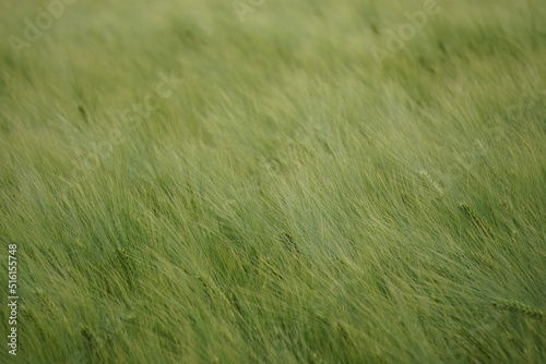 Natur (Germany)