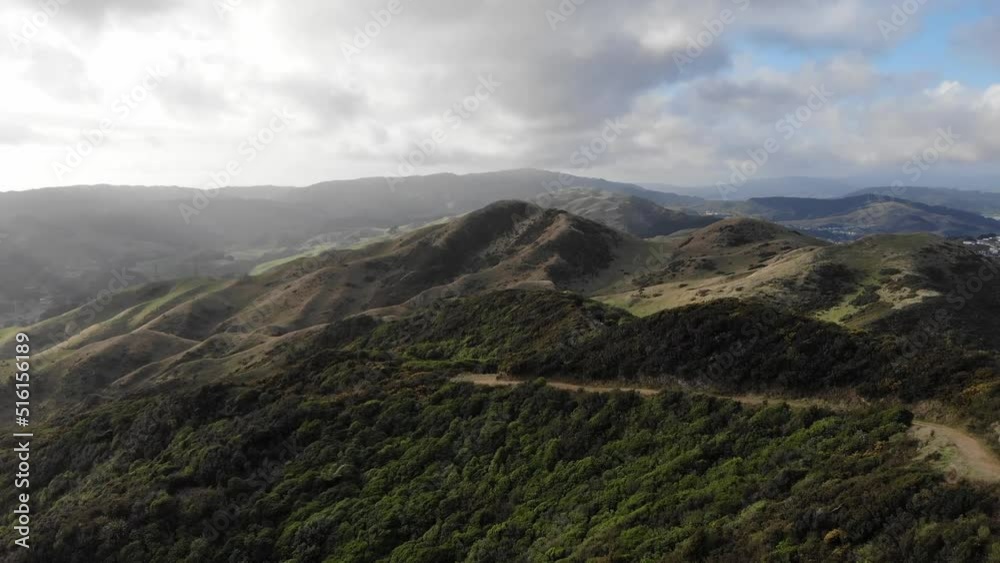 Beautiful New Zealand Rolling Hills Beautiful New Zealand Rolling Hills