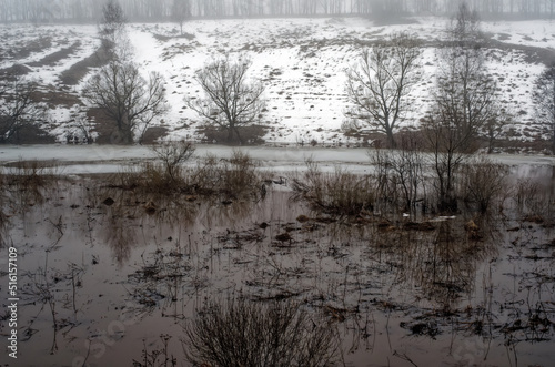 high river bank in early spring