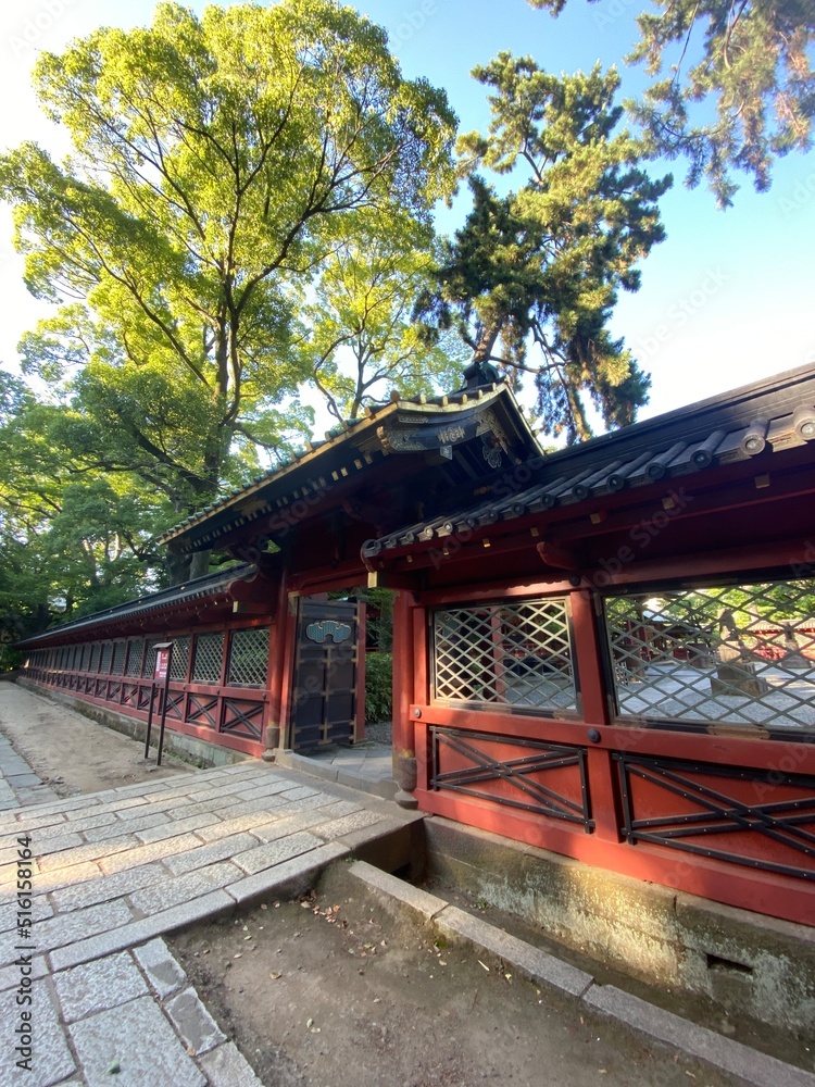 Japanese shrine in the evening, “Nezu” shrine in Tokyo Nezu, honorable shrine established way back, rebuilt by Tokugawa shogunate of Edo period. Photo taken year 2022 July 8th Japanese shrine in the evening, “Nezu” shrine in Tokyo Nezu, honorable shrine established way back, rebuilt by Tokugawa shogunate of Edo period. Photo taken year 2022 July 8th