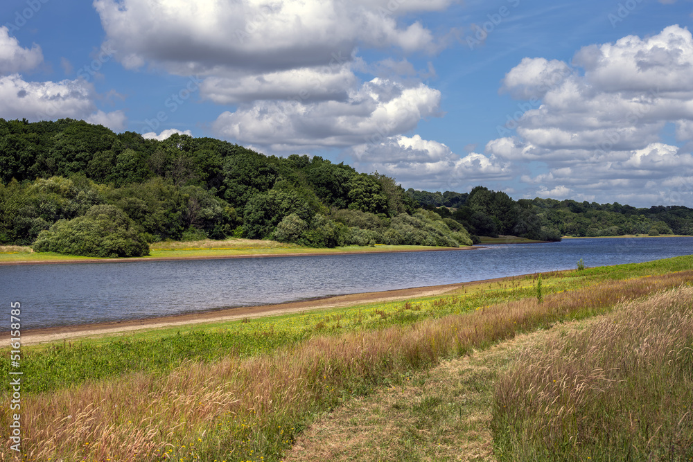 View of Bewl Water reservoir on a summer afternoon, Kent, South of England View of Bewl Water reservoir on a summer afternoon, Kent, South of England