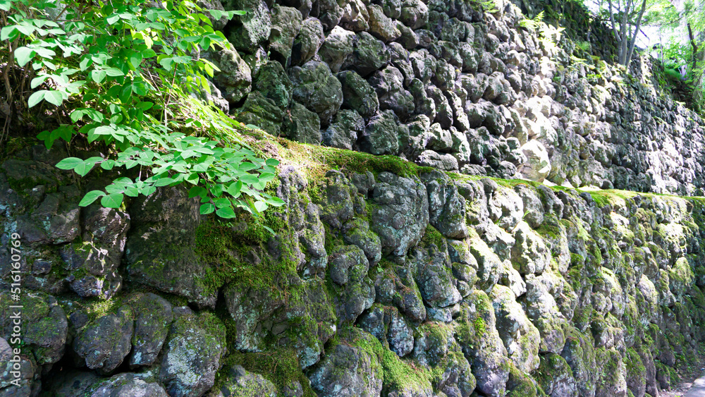 Obraz premium 石垣