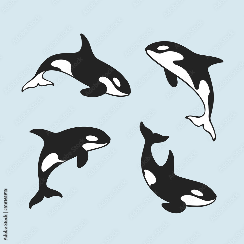Orcinus orca. Cute killer whale sketch line icon. Сute animals set of