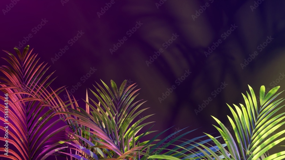 copy space gradient colorful background with tropical plants leaves