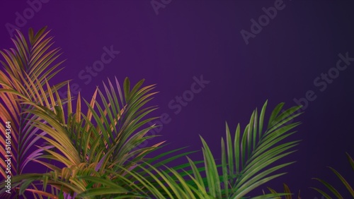 copy space gradient colorful background with tropical plants leaves