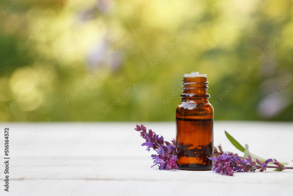 sage, salvia essential oil (extract) bottle with sage flowers on wooden and greenery background sage, salvia essential oil (extract) bottle with sage flowers on wooden and greenery background