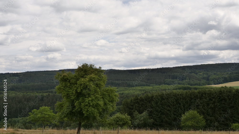 Osburger Hochwald Osburger Hochwald