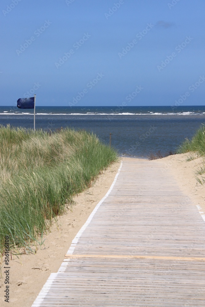 a wooden path leads through dunes to the sea lined with tufts of grass
