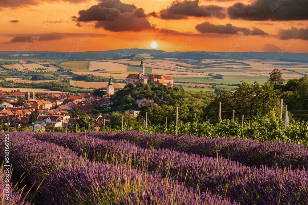 Фотография Beautiful landscape