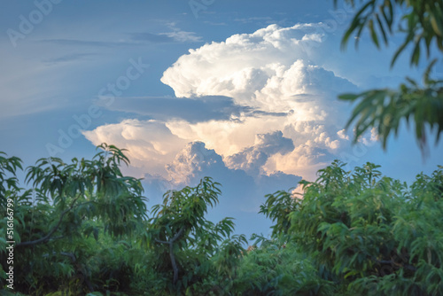 熱帯雨林と入道雲 © kokonoka