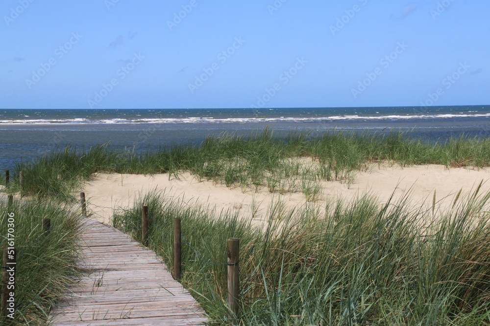 a wooden path leads through dunes to the sea lined with tufts of grass