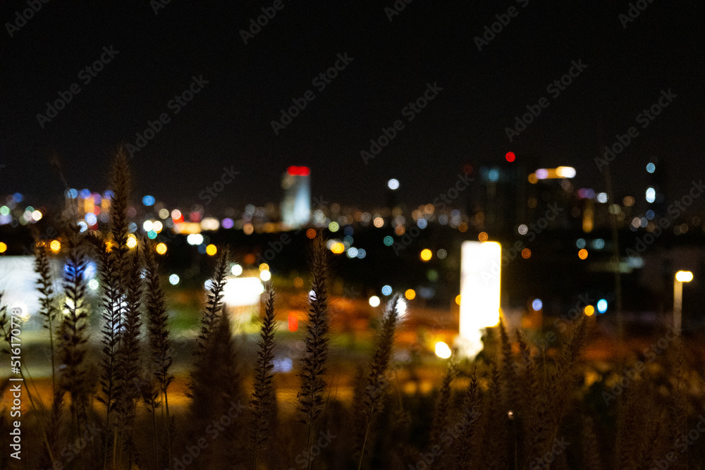 grass against the background of the panorama of the night city with blurry lights