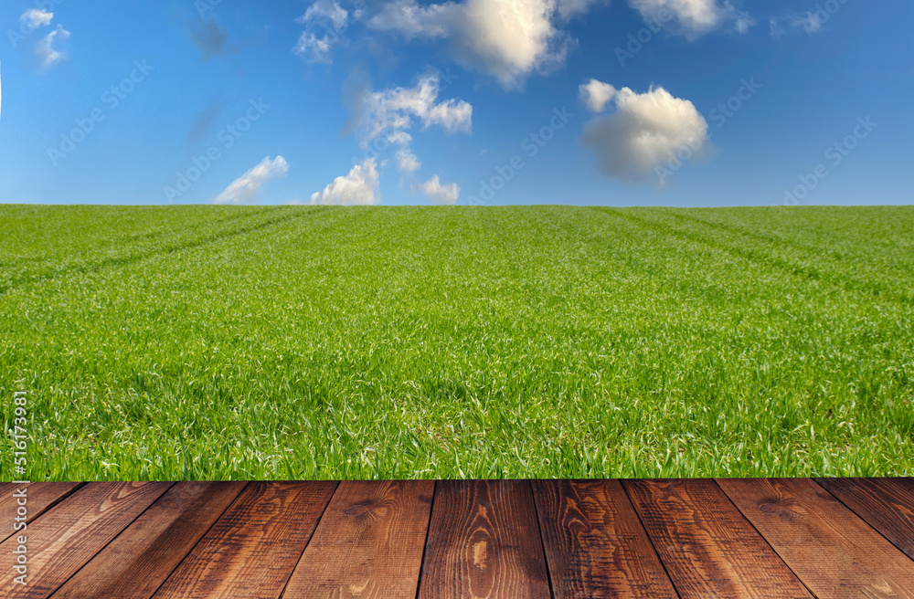 Fototapeta premium Piękny wiosenny widok zielona trawa i niebieskie niebo
