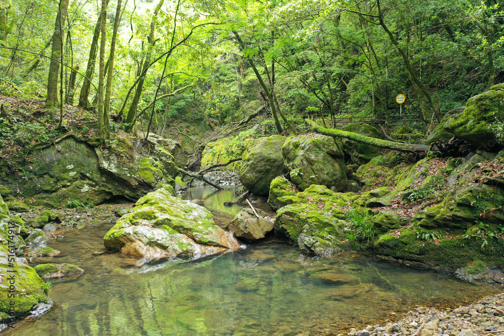 Fototapeta premium 愛媛県西予市 桂川渓谷