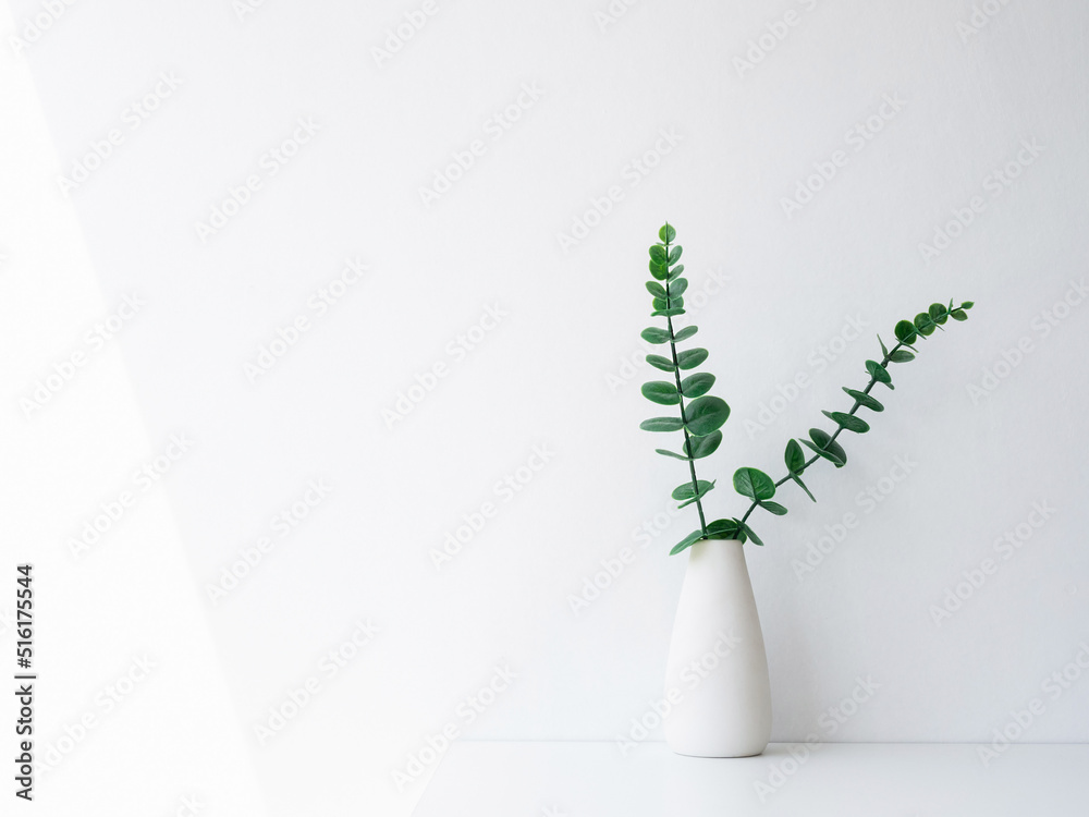 Home interior elegant floral vase decor, soft white composition. Beautiful green leaves branches in white tall vase on white wall background with copy space, minimal style. - obrazy, fototapety, plakaty 