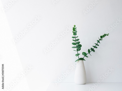Home interior elegant floral vase decor, soft white composition. Beautiful green leaves branches in white tall vase on white wall background with copy space, minimal style.