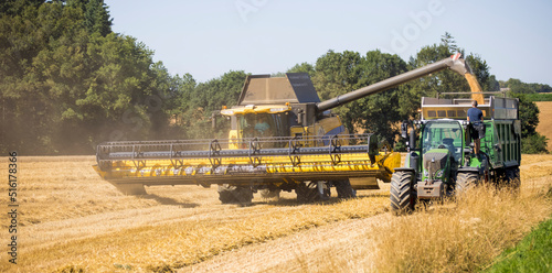 Obraz na plátně Moisbat