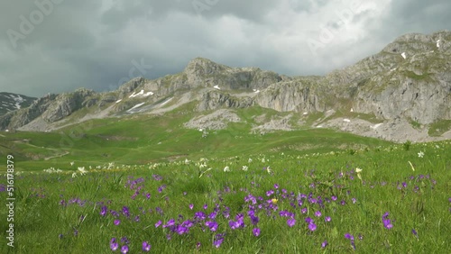 Wallpaper Mural green meadow in Lukavica Plateau in the spring Torontodigital.ca