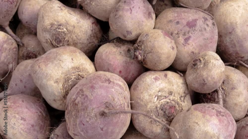 fresh organic beetroot from farm close up from different angle fresh organic beetroot from farm close up from different angle