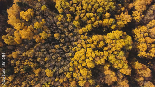Aerial view of forest plain during a autumn day. Clip. Aerial top down view of amazing city park in october autumn colors, yellow and orange tree tops.
