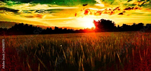 sunset over the river