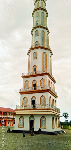 Pink Ashoka flower in the garden