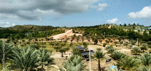 view of the mountains and date garden in Aceh, Indonesia