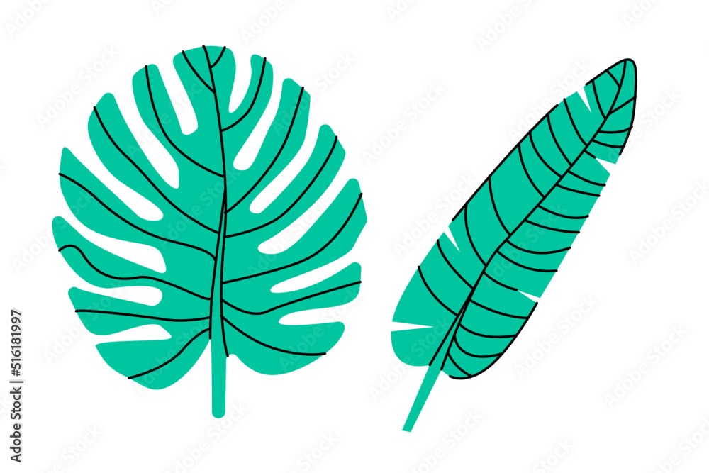 Set of two tropical leaves. Palm and Banana leaf Set of two tropical leaves. Palm and Banana leaf