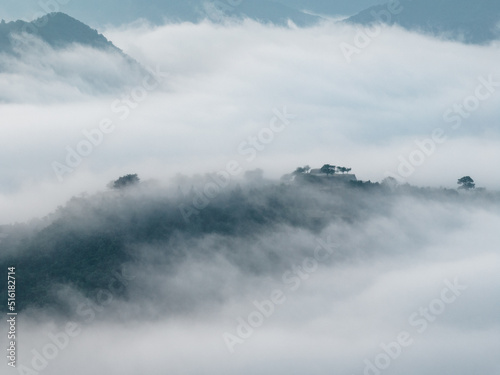 Historic Takeda Castle ruins on mountaintop in heavy fog