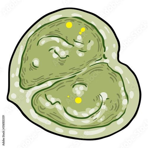 Chelsea Wax Plant green leaf. Hoya Carnosa leaves. Succulent lush. Vector.