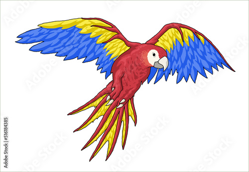 Clip art with colorful hand drawn parrot