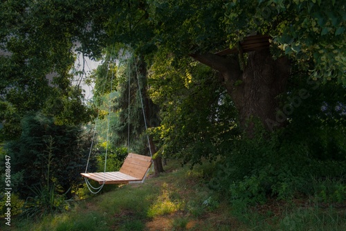 swing hanging on a tree