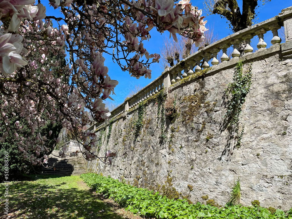 Grand mur ancien au jardin
